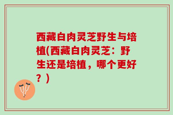 西藏白肉灵芝野生与培植(西藏白肉灵芝：野生还是培植，哪个更好？)