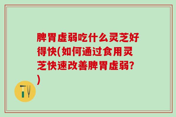 脾胃虚弱吃什么灵芝好得快(如何通过食用灵芝快速改善脾胃虚弱？)