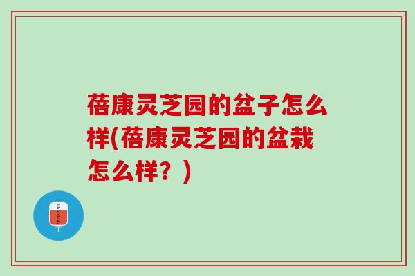 蓓康灵芝园的盆子怎么样(蓓康灵芝园的盆栽怎么样？)