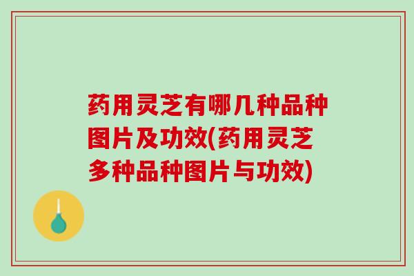 药用灵芝有哪几种品种图片及功效(药用灵芝多种品种图片与功效) 药用灵芝有哪几种品种图片及功效(药用灵芝多种品种图片与功效)