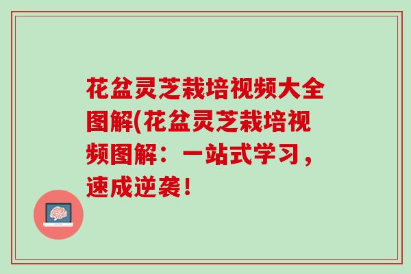 花盆灵芝栽培视频大全图解(花盆灵芝栽培视频图解:一站式学习,速成逆袭! 花盆灵芝栽培视频大全图解(花盆灵芝栽培视频图解:一站式学习,速成逆袭!
