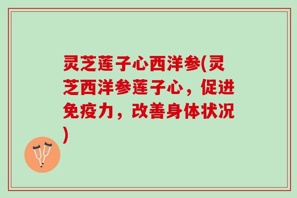 灵芝莲子心西洋参(灵芝西洋参莲子心,促进免疫力,改善身体状况) 灵芝莲子心西洋参(灵芝西洋参莲子心,促进免疫力,改善身体状况)