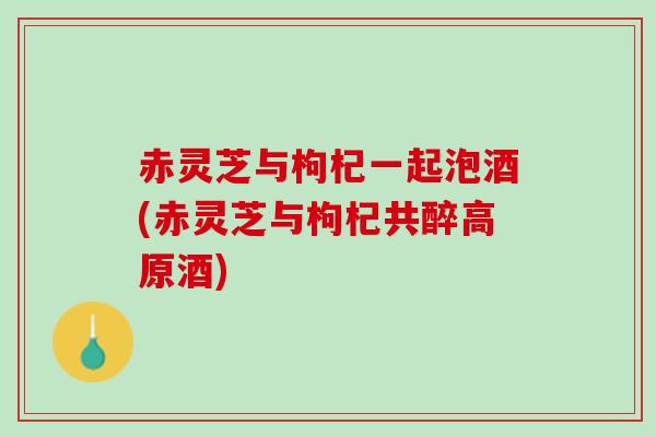 赤灵芝与枸杞一起泡酒(赤灵芝与枸杞共醉高原酒) 赤灵芝与枸杞一起泡酒(赤灵芝与枸杞共醉高原酒)