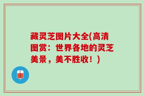 藏灵芝图片大全(高清图赏：世界各地的灵芝美景，美不胜收！)