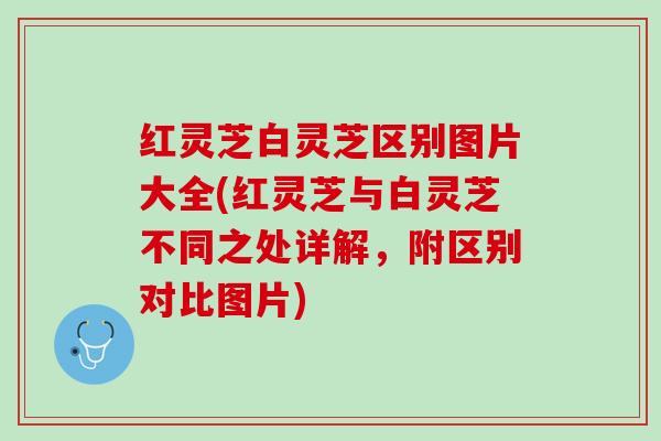 红灵芝白灵芝区别图片大全(红灵芝与白灵芝不同之处详解，附区别对比图片)