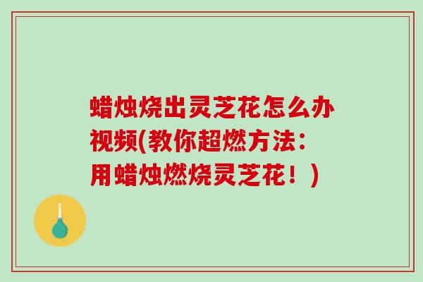 蜡烛烧出灵芝花怎么办视频(教你超燃方法：用蜡烛燃烧灵芝花！)