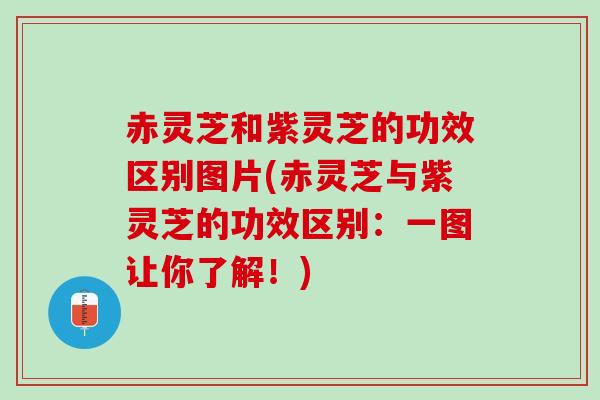 赤灵芝和紫灵芝的功效区别图片(赤灵芝与紫灵芝的功效区别：一图让你了解！)