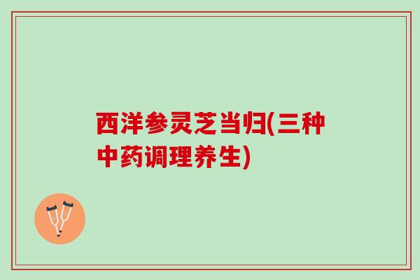 西洋参灵芝当归(三种中药调理养生)