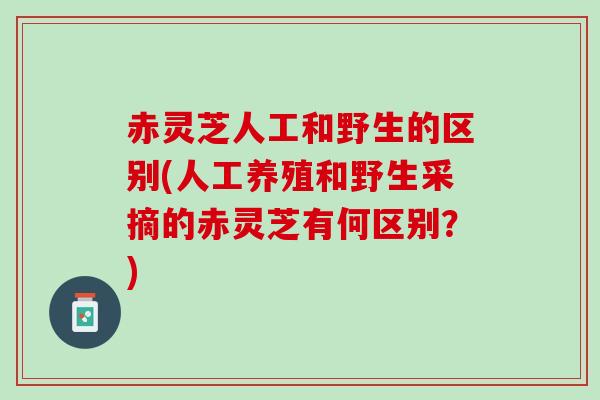 赤灵芝人工和野生的区别(人工养殖和野生采摘的赤灵芝有何区别？)