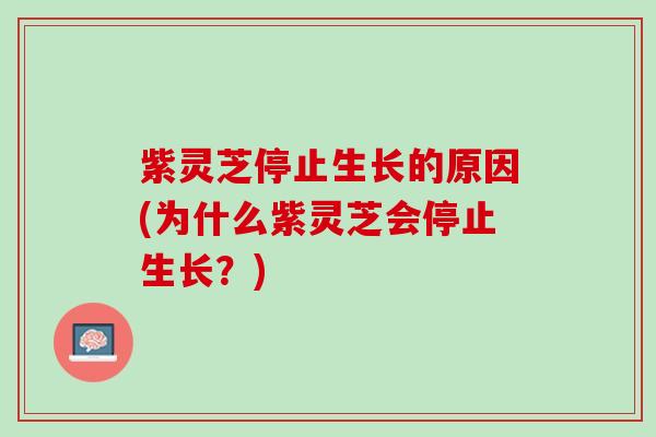 紫灵芝停止生长的原因(为什么紫灵芝会停止生长？)