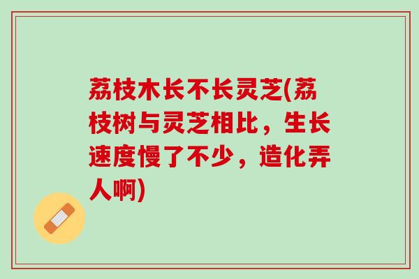荔枝木长不长灵芝(荔枝树与灵芝相比,生长速度慢了不少,造化弄人啊) 荔枝木长不长灵芝(荔枝树与灵芝相比,生长速度慢了不少,造化弄人啊)