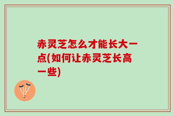 赤灵芝怎么才能长大一点(如何让赤灵芝长高一些)