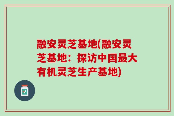 融安灵芝基地(融安灵芝基地：探访中国最大有机灵芝生产基地)