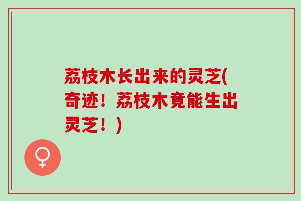 荔枝木长出来的灵芝(奇迹！荔枝木竟能生出灵芝！)