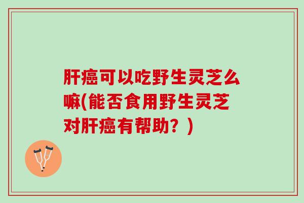 肝癌可以吃野生灵芝么嘛(能否食用野生灵芝对肝癌有帮助？)