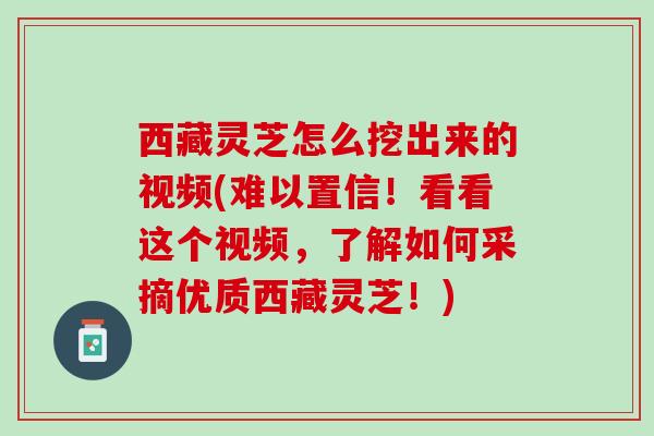 西藏灵芝怎么挖出来的视频(难以置信！看看这个视频，了解如何采摘优质西藏灵芝！)
