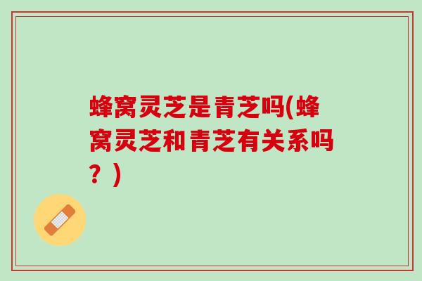 蜂窝灵芝是青芝吗(蜂窝灵芝和青芝有关系吗？)