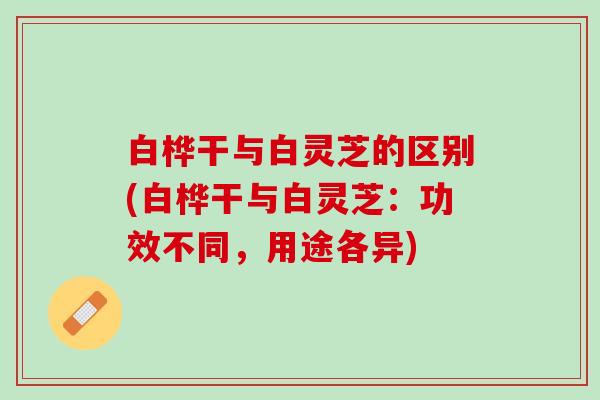 白桦干与白灵芝的区别(白桦干与白灵芝:功效不同,用途各异) 白桦干与白灵芝的区别(白桦干与白灵芝:功效不同,用途各异)