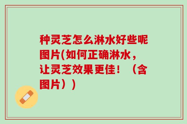 种灵芝怎么淋水好些呢图片(如何正确淋水,让灵芝效果更佳!(含图片)) 种灵芝怎么淋水好些呢图片(如何正确淋水,让灵芝效果更佳!(含图片))