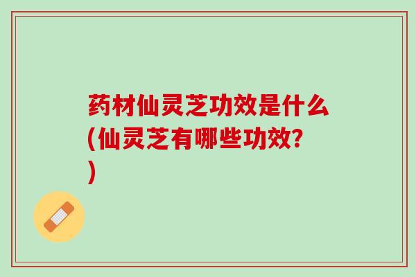 药材仙灵芝功效是什么(仙灵芝有哪些功效？)