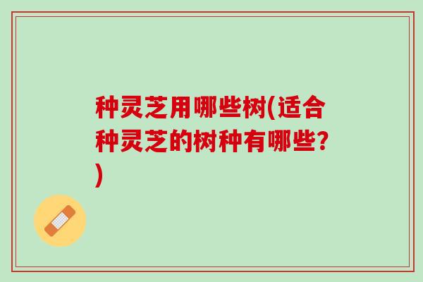 种灵芝用哪些树(适合种灵芝的树种有哪些？)