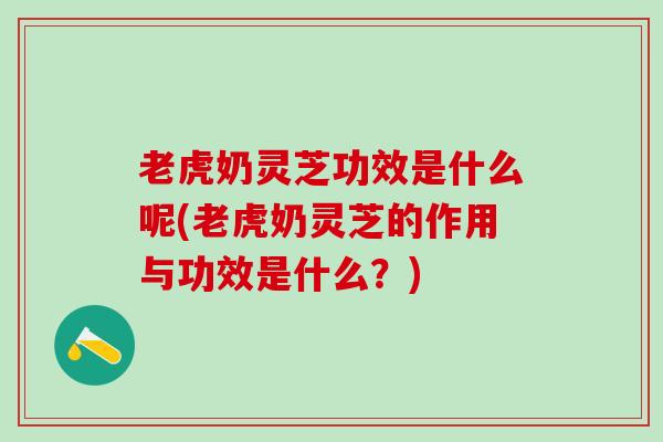 老虎奶灵芝功效是什么呢(老虎奶灵芝的作用与功效是什么？)