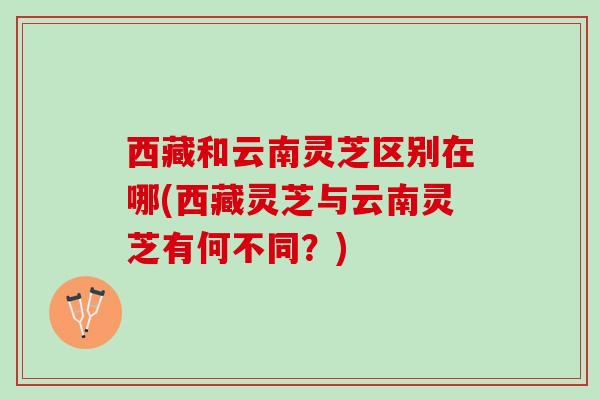 西藏和云南灵芝区别在哪(西藏灵芝与云南灵芝有何不同？)