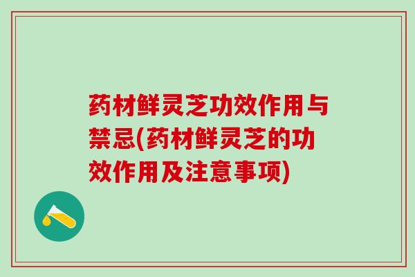 药材鲜灵芝功效作用与禁忌(药材鲜灵芝的功效作用及注意事项) 药材鲜灵芝功效作用与禁忌(药材鲜灵芝的功效作用及注意事项)