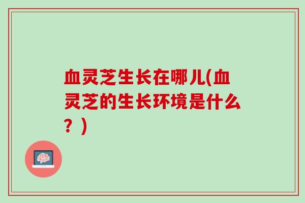 灵芝生长在哪儿(灵芝的生长环境是什么?) 灵芝生长在哪儿(灵芝的生长环境是什么?)