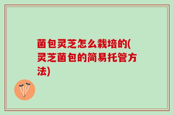 菌包灵芝怎么栽培的(灵芝菌包的简易托管方法) 菌包灵芝怎么栽培的(灵芝菌包的简易托管方法)