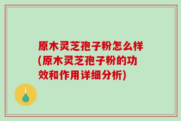 原木灵芝孢子粉怎么样(原木灵芝孢子粉的功效和作用详细分析)