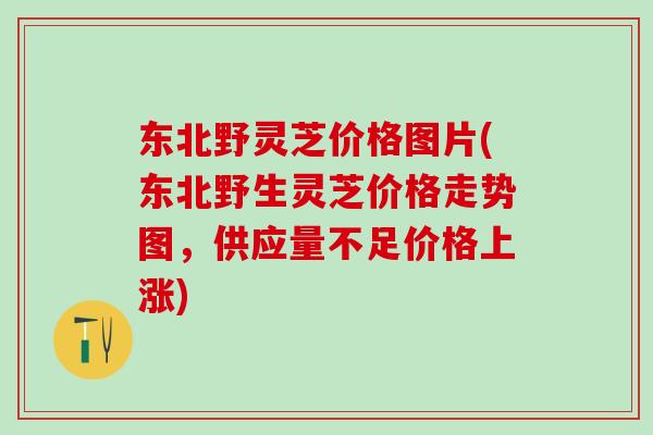 东北野灵芝价格图片(东北野生灵芝价格走势图，供应量不足价格上涨)
