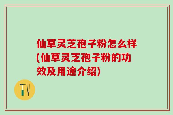 仙草灵芝孢子粉怎么样(仙草灵芝孢子粉的功效及用途介绍)