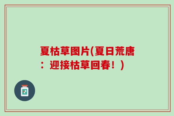 夏枯草图片(夏日荒唐:迎接枯草回春!) 夏枯草图片(夏日荒唐:迎接枯草回春!)