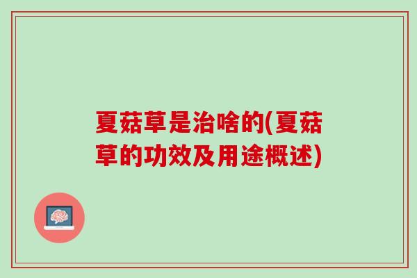 夏菇草是治啥的(夏菇草的功效及用途概述)