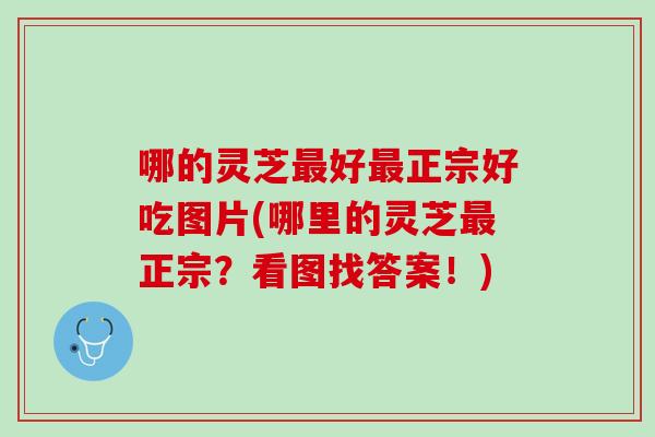 哪的灵芝好正宗好吃图片(哪里的灵芝正宗?看图找答案!) 哪的灵芝好正宗好吃图片(哪里的灵芝正宗?看图找答案!)