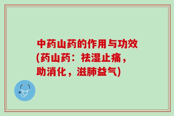 山药的作用与功效(药山药:祛湿,助消化,滋益气) 山药的作用与功效(药山药:祛湿,助消化,滋益气)