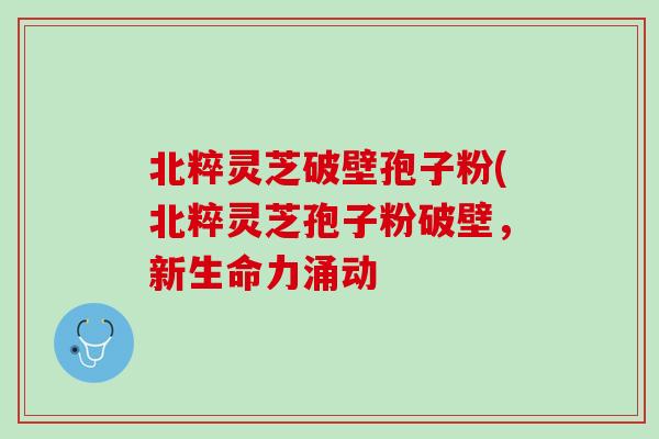 北粹灵芝破壁孢子粉(北粹灵芝孢子粉破壁，新生命力涌动