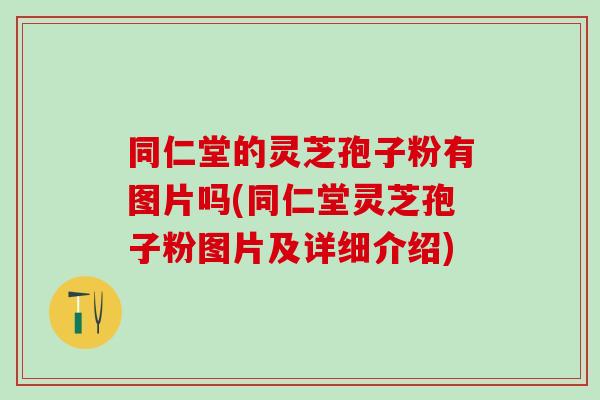 同仁堂的灵芝孢子粉有图片吗(同仁堂灵芝孢子粉图片及详细介绍)