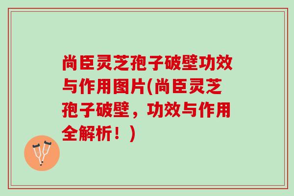 尚臣灵芝孢子破壁功效与作用图片(尚臣灵芝孢子破壁，功效与作用全解析！)