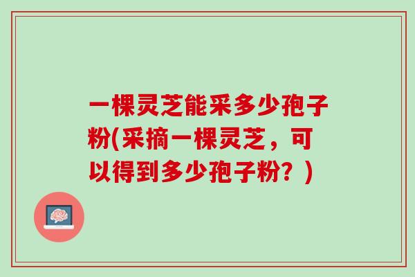 一棵灵芝能采多少孢子粉(采摘一棵灵芝，可以得到多少孢子粉？)