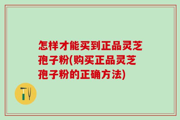 怎样才能买到正品灵芝孢子粉(购买正品灵芝孢子粉的正确方法) 怎样才能买到正品灵芝孢子粉(购买正品灵芝孢子粉的正确方法)