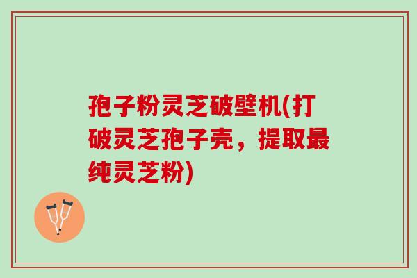 孢子粉灵芝破壁机(打破灵芝孢子壳，提取最纯灵芝粉)