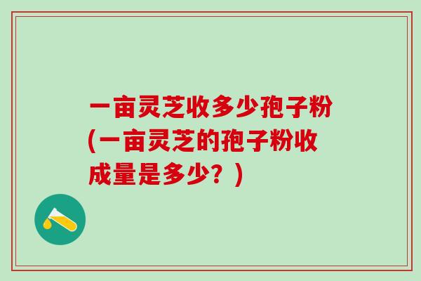 一亩灵芝收多少孢子粉(一亩灵芝的孢子粉收成量是多少？)