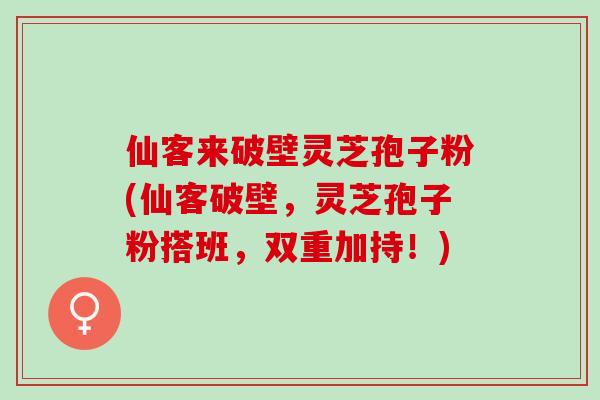 仙客来破壁灵芝孢子粉(仙客破壁，灵芝孢子粉搭班，双重加持！)