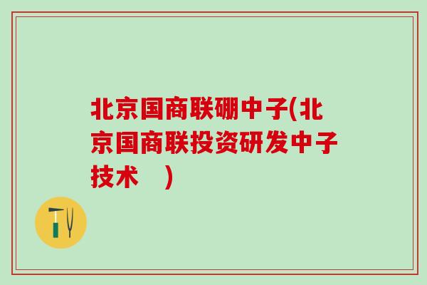 北京国商联硼中子(北京国商联投资研发中子技术　)