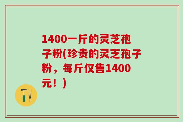 1400一斤的灵芝孢子粉(珍贵的灵芝孢子粉，每斤仅售1400元！)