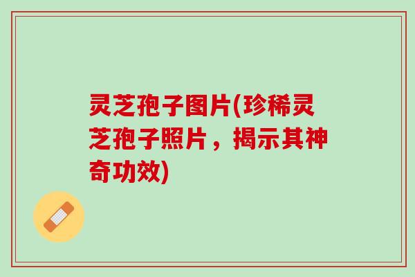 灵芝孢子图片(珍稀灵芝孢子照片，揭示其神奇功效)