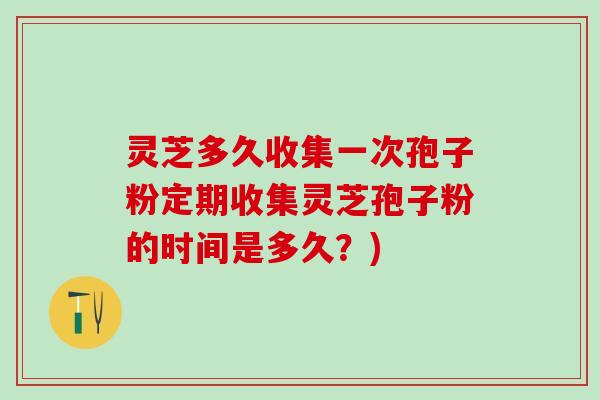 灵芝多久收集一次孢子粉定期收集灵芝孢子粉的时间是多久？)