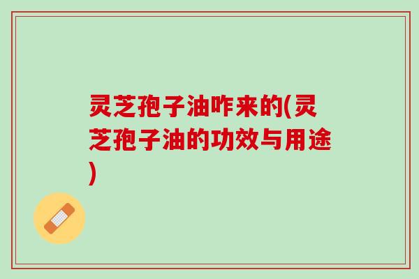 灵芝孢子油咋来的(灵芝孢子油的功效与用途)